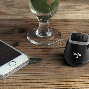 Ring Mini Bluetooth Speakers